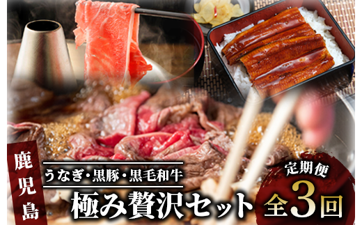 [全3回定期便]うなぎ・黒豚・黒毛和牛 鹿児島極み贅沢セット いつからでも定期便(水迫畜産/Z034-533) 国産 鰻 指宿市 蒲焼 牛肉 豚肉 肉 黒豚