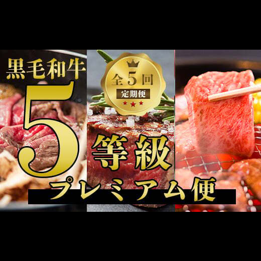 【全5回定期便】数量限定!鹿児島県産黒毛和牛5等級プレミアム定期便(水迫畜産/Z-077) 5等級 定期便 5回 黒毛和牛 牛 牛肉 国産 鹿児島県産 肉 自社牧場 ヒレ ヒレステーキ サーロイン サーロインステーキ 肩 カタロース 肩ロース すきやき 焼き肉 やきにく 鍋 モモ モモ肉 ステーキ すき焼き 焼肉 しゃぶしゃぶ 鹿児島 指宿