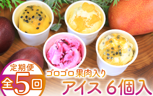 【全５回定期便】ゴロゴロ果肉入りアイス6個入定期便(マンゴーの森/Z060-291)
