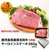 鹿児島県産5等級黒毛和牛サーロインステーキ360g(180g×2枚)(水迫畜産/013-1286)23-GP1 国産 肉 牛 和牛 ステーキ 霜降り ギフト 贈答用 プレゼント 鹿児島 いぶすき