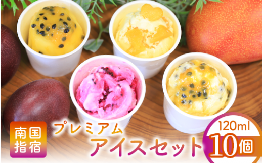 ゴロゴロ果肉入りプレミアムアイス10個セット(マンゴーの森/022-1211)