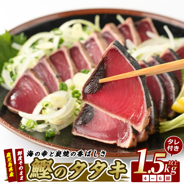[カツオのたたき だしポン酢付き!]カツオ堪能セット(指宿食品/012-1038) 鰹 たたき 冷凍 刺身