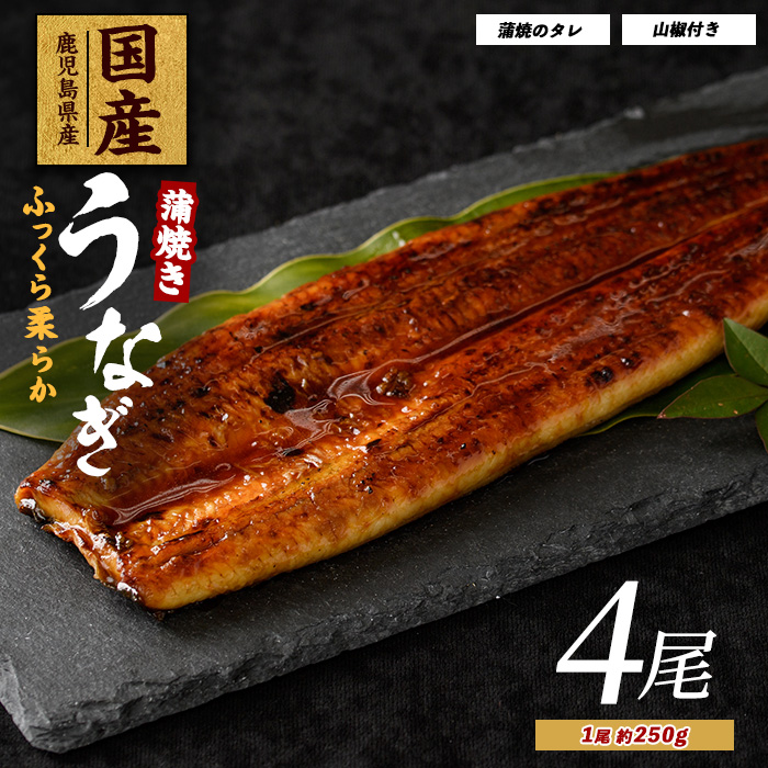 【鹿児島県産】うなぎ蒲焼じっくり焼き約250g×4尾 木目化粧箱入り(大新/038-1108) 鰻 蒲焼 国産 丑の日 うな重 無頭 ギフト ふっくら 小分け レンジ 簡単