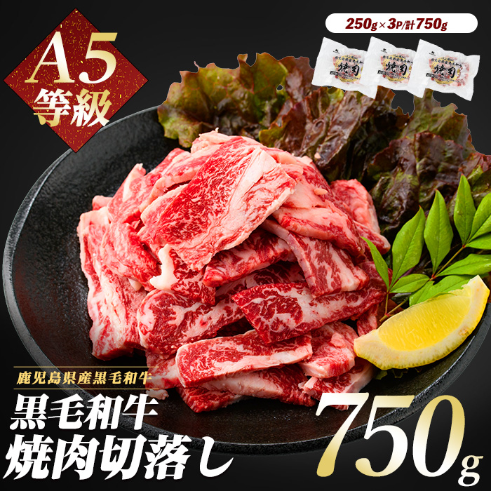A5等級鹿児島県産黒毛和牛焼肉切り落とし750g(250g×3P)(カミチク/012-1659) 牛肉 牛 肉 お肉 黒毛和牛 黒毛 国産牛 国産 鹿児島県産 バーベキュー 切落し 和牛 A5 A5ランク ミスジ ウワミスジ インサイド ミックス キャンプ BBQ 野菜炒め 炒め物 家庭用 冷凍 小分け 焼肉用