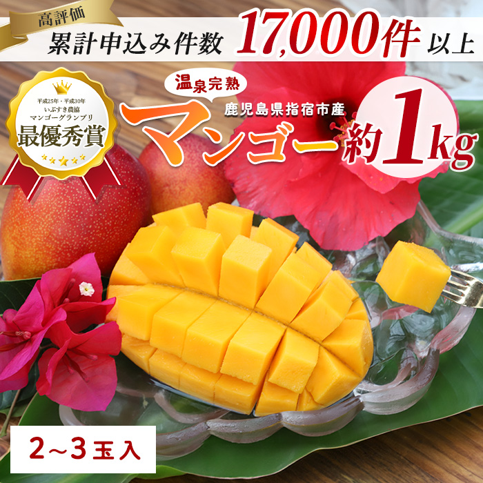 【2025年 発送】【訳あり】鹿児島県いぶすき産 温泉完熟マンゴー約1kg(T&P/016-1750) マンゴー フルーツ 果物 旬 夏 指宿 いぶすき 鹿児島  完熟  グルメ 予約 先行予約 南国 南国フルーツ 果実 マンゴー 太陽 国産 鹿児島県産 果汁 規格外