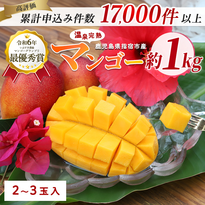 【2025年 発送】【訳あり】鹿児島県いぶすき産 温泉完熟マンゴー約1kg(T&P/016-1750) マンゴー フルーツ 果物 旬 夏 指宿 いぶすき 鹿児島  完熟  グルメ 予約 先行予約 南国 南国フルーツ 果実 マンゴー 太陽 国産 鹿児島県産 果汁 規格外