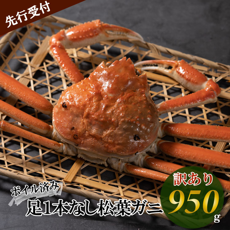 [魚倉]足1本なしボイル松葉ガニ(特大950g)訳あり