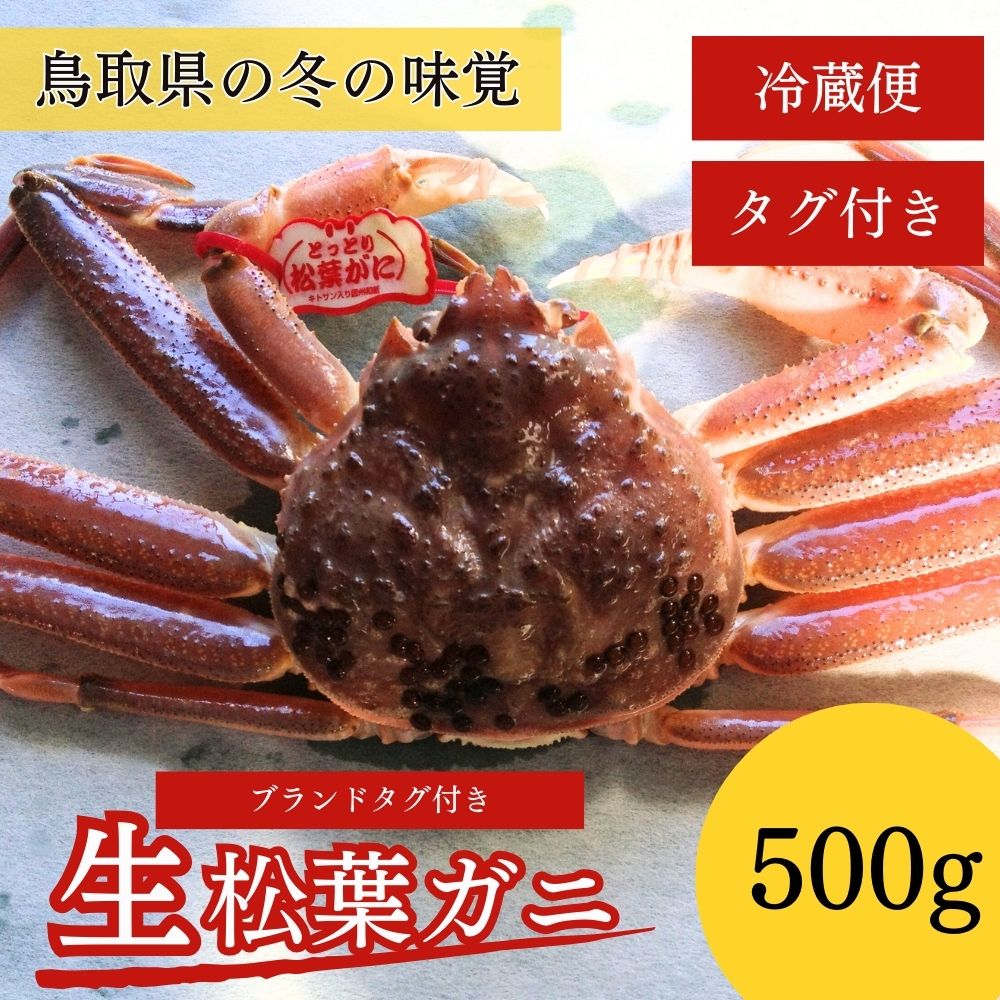 [魚倉]タグ付き生松葉ガニ(500g)