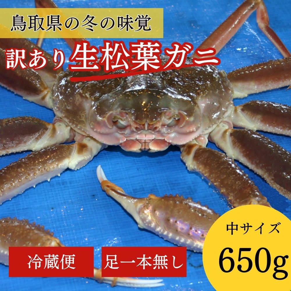 [魚倉]足1本なし生松葉ガニ(中650g)訳あり