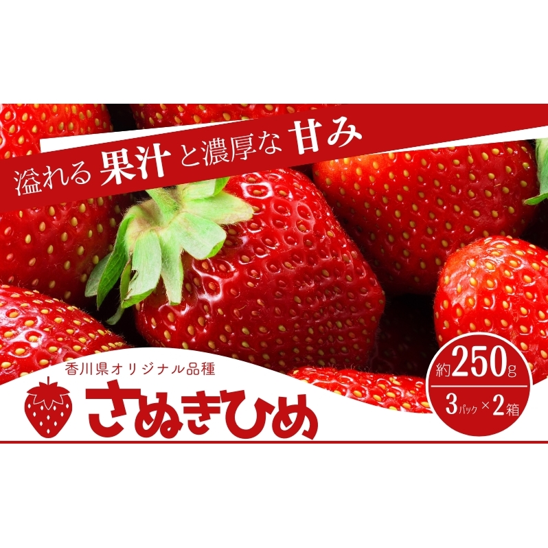香川県オリジナル品種！　ご家庭用さぬきひめ苺　6パック