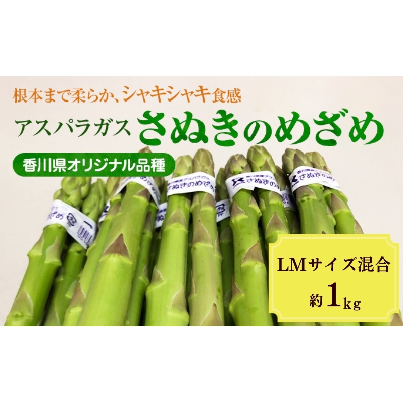 アスパラガス【さぬきのめざめ】約1kg　LM混合