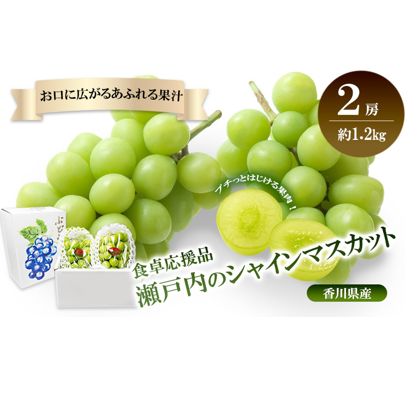 瀬戸内のシャインマスカット 2房(約1.2kg)