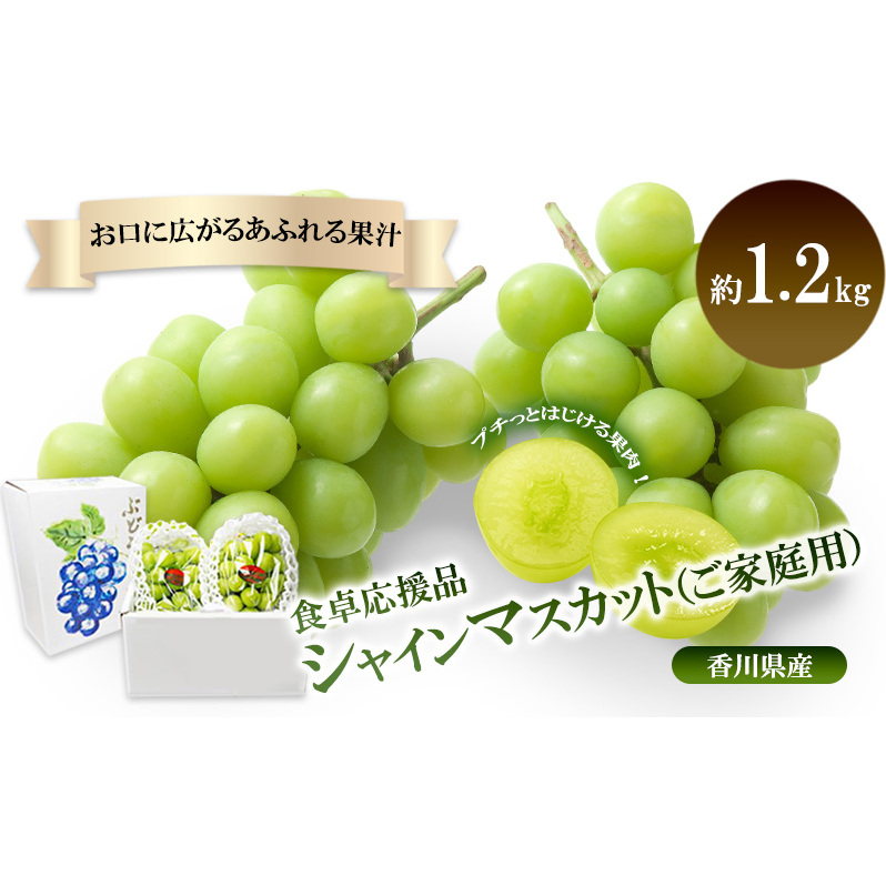 「9月30日までの食卓応援品」 シャインマスカット2~3房(約1.2kg)