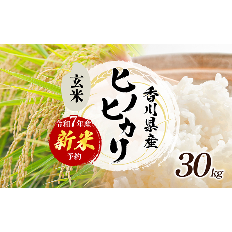 「食卓応援品」令和7年産「ヒノヒカリ」30kg（玄米） お米 30kg