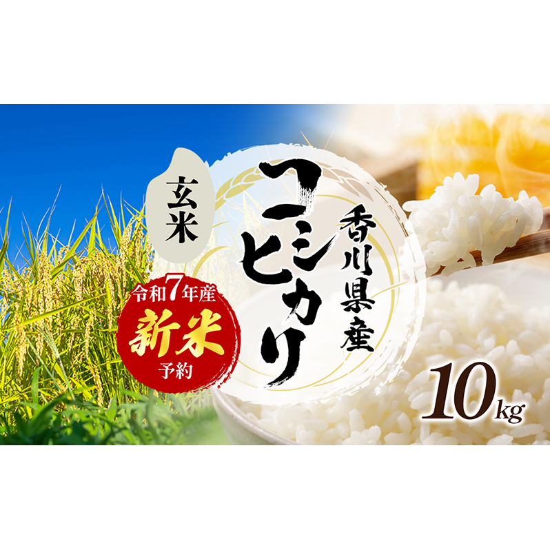 令和7年産　新米「コシヒカリ」10kg（玄米）  お米 10kg 