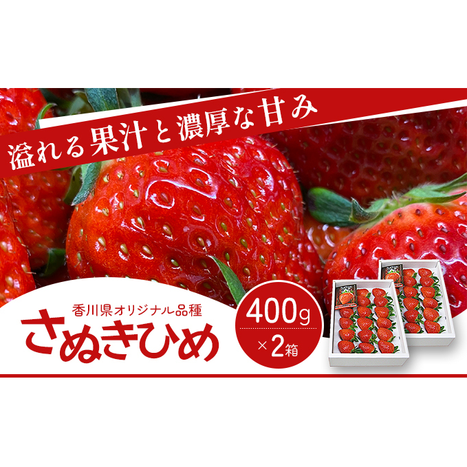 《高評価》 香川県オリジナル品種! いちご【さぬきひめ】化粧箱 400g×2箱( フルーツ 苺 さぬき姫 ギフト 取り寄せ 糖度 甘い 大粒 贈答 プレゼント 果物類 デザート ストロベリー ) 香川県東かがわ市