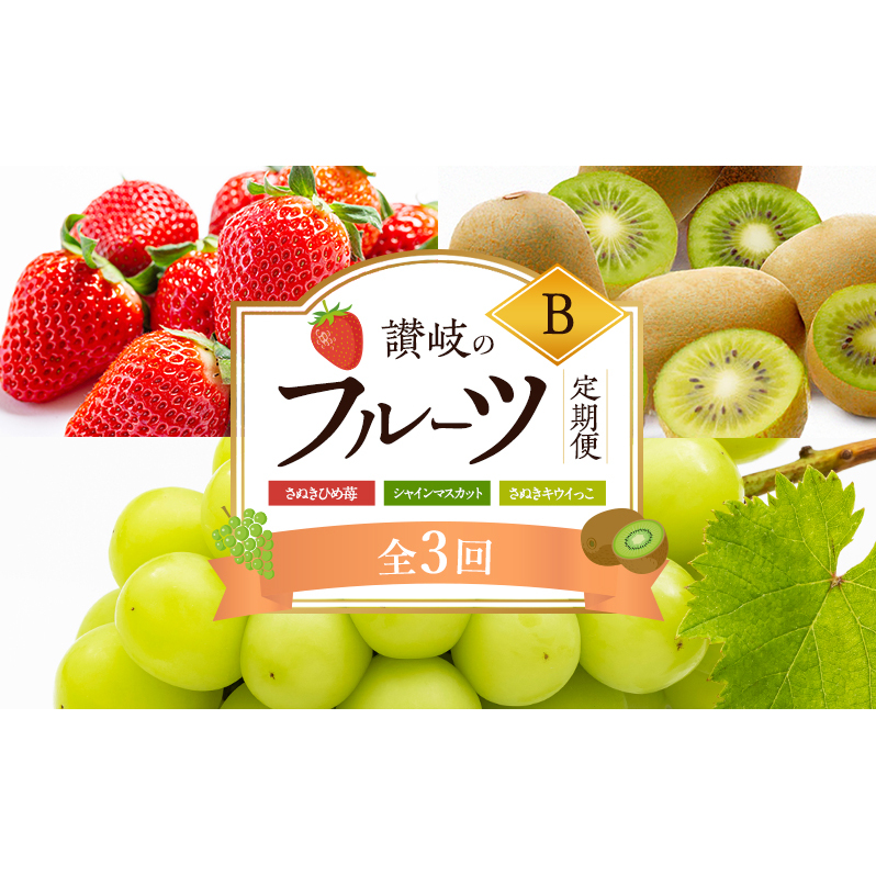 【2月、8月、11月 発送】讃岐のフルーツ定期便 B （3回）【さぬきひめ苺】【シャインマスカット】【さぬきキウイっこ】