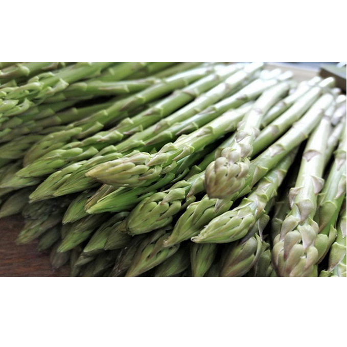 少し訳ありSWANの特選アスパラ1kg【さぬきのめざめ】 野菜 野菜セット アスパラガス 訳ありアスパラ 