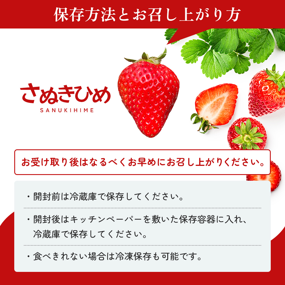 いちご 香川県産 さぬきひめ おてごろパック 約1.2kg 8パック