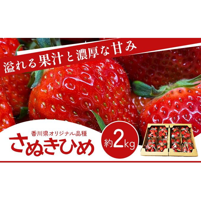 高評価》 香川県オリジナル品種！ いちご【さぬきひめ】2kg