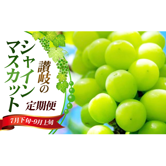 讃岐のシャインマスカット3ヶ月定期便 フルーツ 果物 各約2Kg ぶどう 食べ比べ 温室ハウス 無加温ハウス 露地栽培