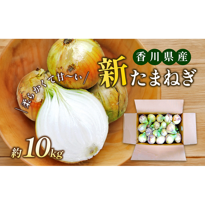 新たまねぎ 約10kg 野菜 イモ ねぎ
