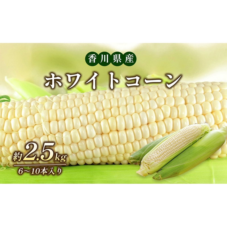 ホワイトコーン 約2.5kg 野菜 とうもろこし 野菜セット 