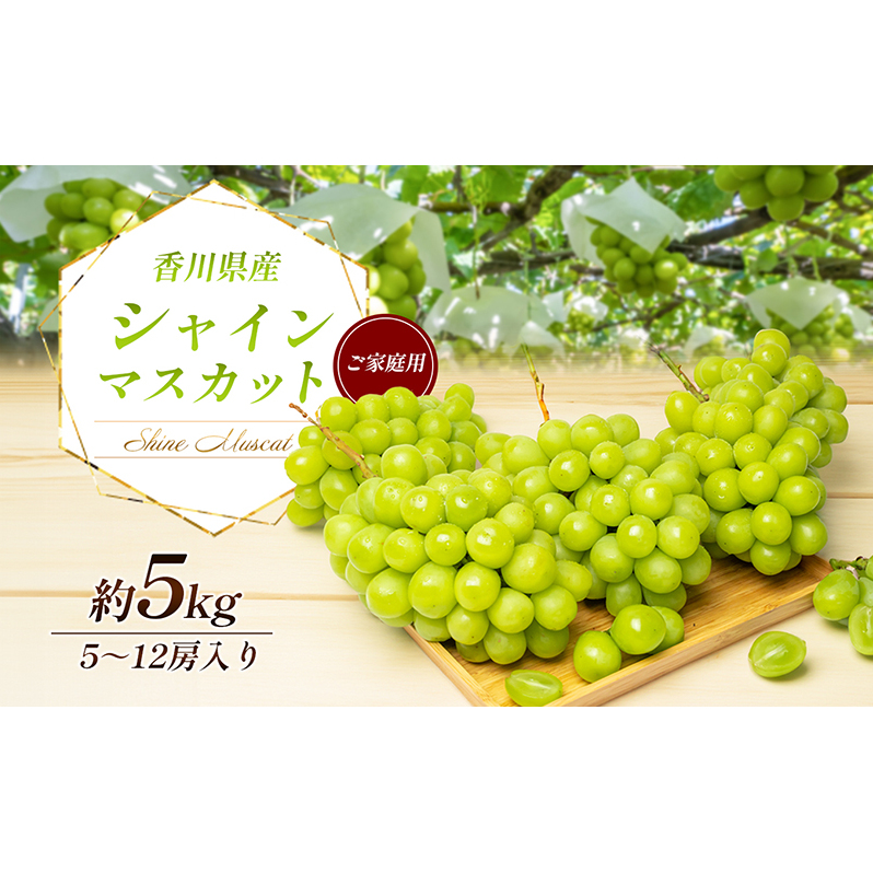 シャインマスカット 5~12房(ご家庭用) 約5kg 家庭用 マスカット 葡萄 ぶどう ブドウ フルーツ 果物 くだもの 果実 旬の果物 旬のフルーツ 香川 香川県 東かがわ市