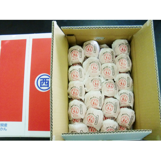 越冬完熟さぬき紅みかん 約3kg 果物類 柑橘類 フルーツ 蜜柑 ミカン くだもの 