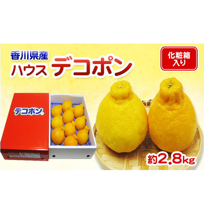 ハウスデコポン 2.8kg 化粧箱 香川県産 デコポン でこぽん フルーツ 果物 くだもの 旬のフルーツ 旬の果物 柑橘 柑橘類 ハウス みかん ハウスみかん 香川 香川県 東かがわ市