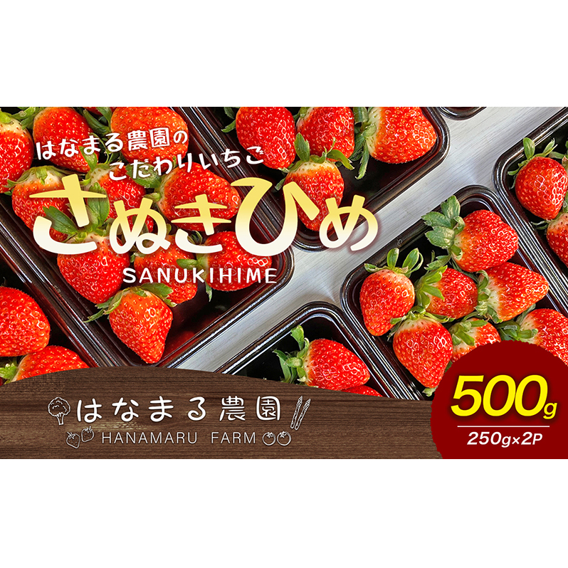 いちご はなまる農園 こだわりいちご さぬきひめ 500g 香川県産 苺 イチゴ フルーツ 果物 くだもの 旬のフルーツ 旬の果物 香川 香川県 東かがわ市