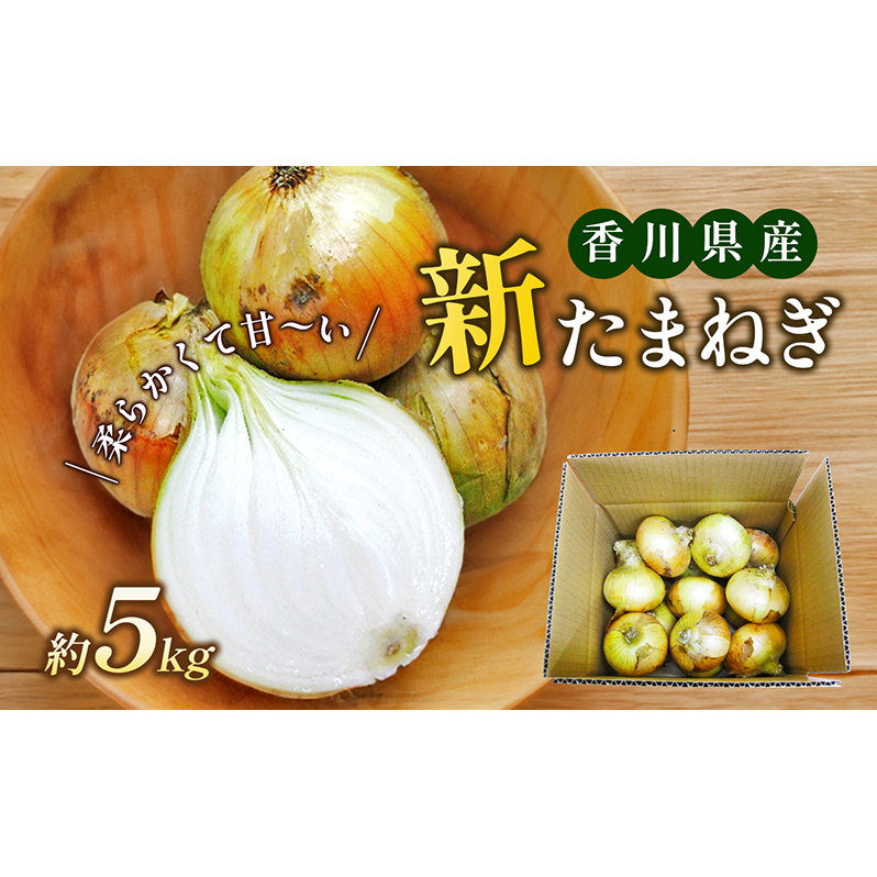 新たまねぎ　約5kg 野菜 