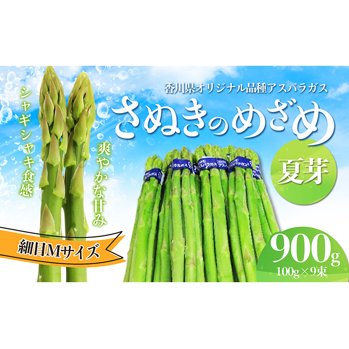 アスパラガス【さぬきのめざめ】夏芽Mサイズ900g グリーンアスパラガス 野菜 柔らかい シャキシャキ 旬の野菜 国産 食材 