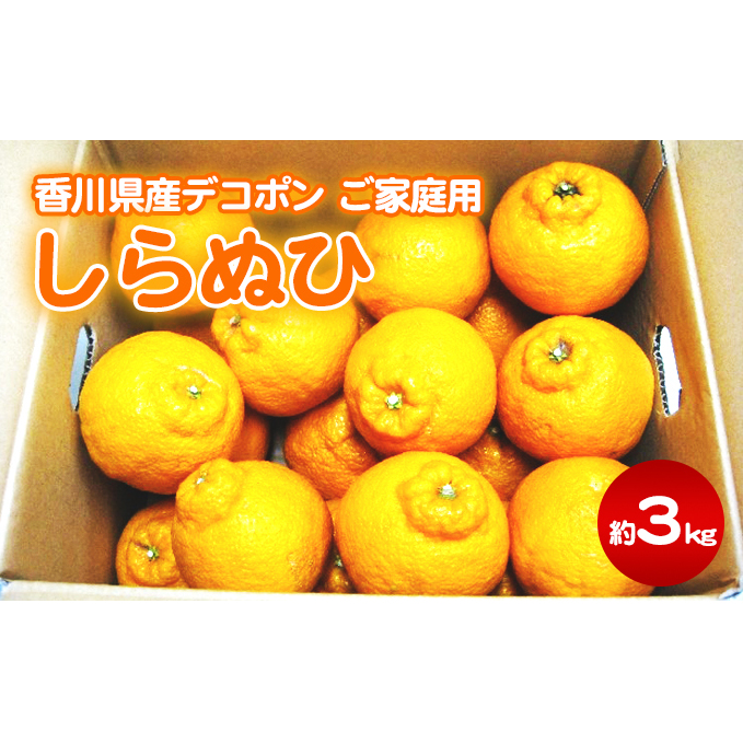 ご家庭用しらぬひ 約３kg デコポン フルーツ 果物類 みかん 柑橘類 