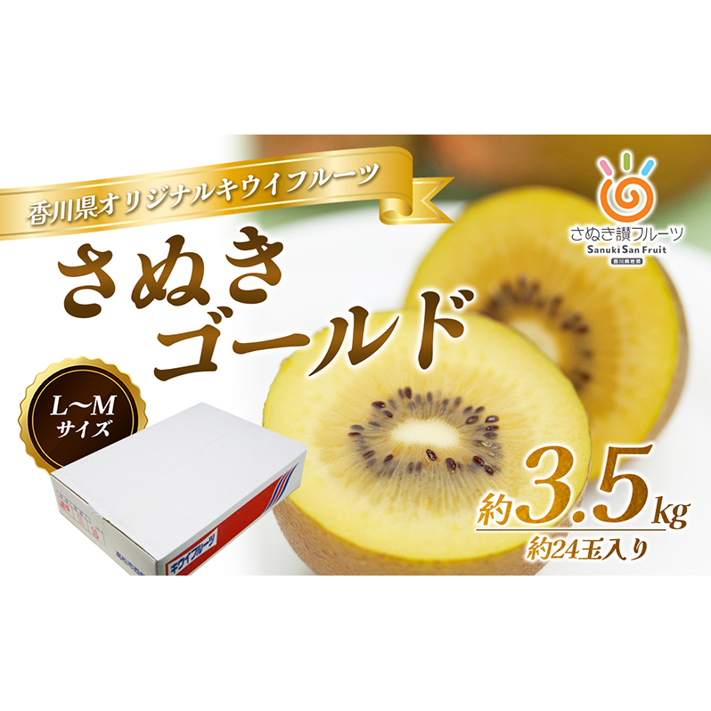 さぬき ゴールドキウイ  L～４Lサイズ16玉～ 24玉 3.5kg ゴールデンキウイ キウイフルーツ キウイ フルーツ 果物 くだもの 果実 旬の果物 旬のフルーツ 香川 香川県 東かがわ市