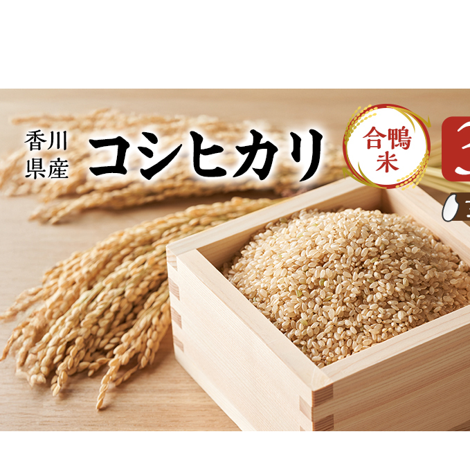 香川県産コシヒカリ(自然農法 合鴨米 3kg)玄米 お米