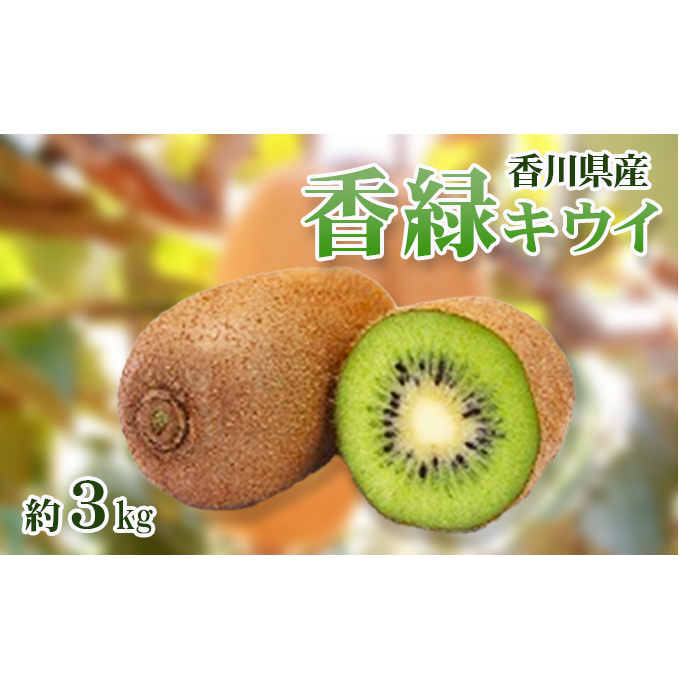 香緑 (こうりょく) キウイ3kg キウイフルーツ フルーツ 果物 くだもの 果実 旬の果物 旬のフルーツ 香川 香川県 東かがわ市
