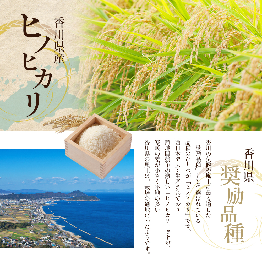 令和6年産 新米「ヒノヒカリ」30kg（玄米） お米 30kg | 香川県東かがわ市 | JRE MALLふるさと納税