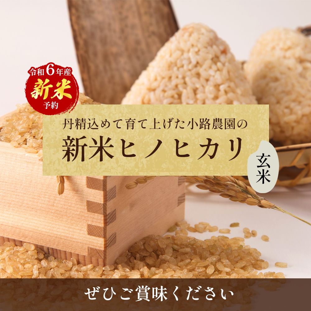 令和6年産 新米「ヒノヒカリ」30kg（玄米） お米 30kg | 香川県東かがわ市 | JRE MALLふるさと納税