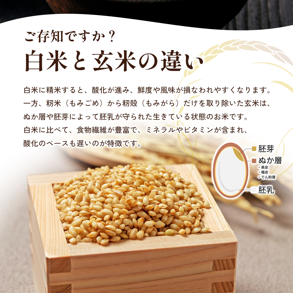 令和6年産 新米「コシヒカリ」30kg（玄米） | 香川県東かがわ市 | JRE MALLふるさと納税