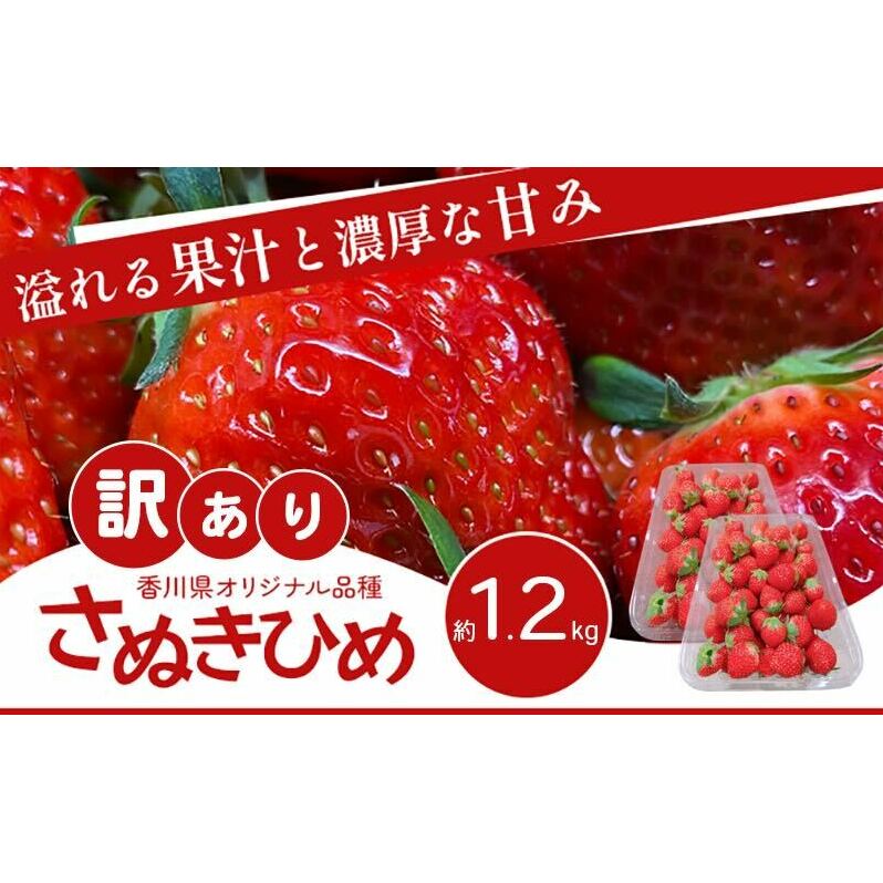 訳あり さぬきひめ 1.2kg 香川県産 苺 イチゴ フルーツ 果物 くだもの 旬のフルーツ 旬の果物 不揃い ジャム 加工 加工食品 訳アリ 香川 香川県 東かがわ市