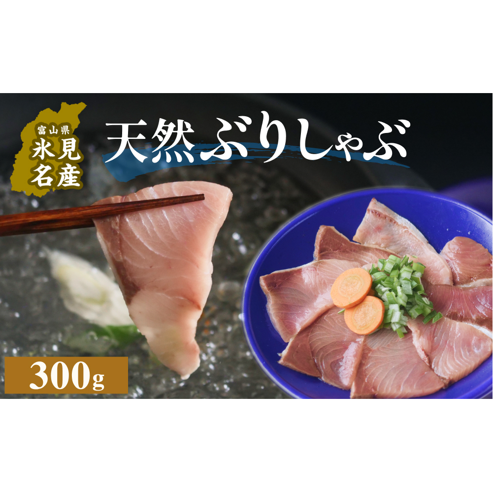 天然ぶり使用鰤しゃぶ300g 富山県 氷見市 ぶりしゃぶ 鍋 ブリ