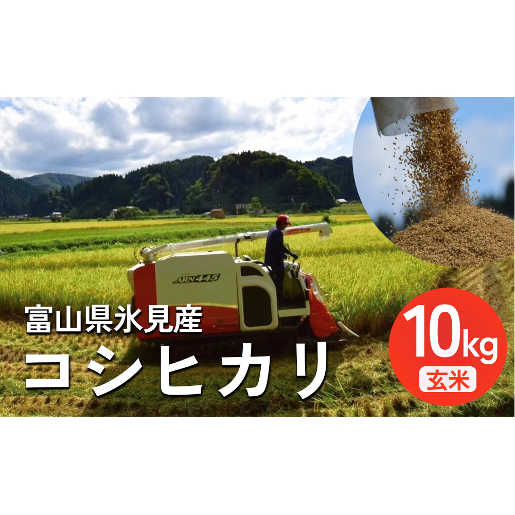 令和7年産 富山県氷見産 コシヒカリ 玄米 10kg ＜2025年10月中旬以降順次発送＞ 富山県 氷見市 米 こしひかり
