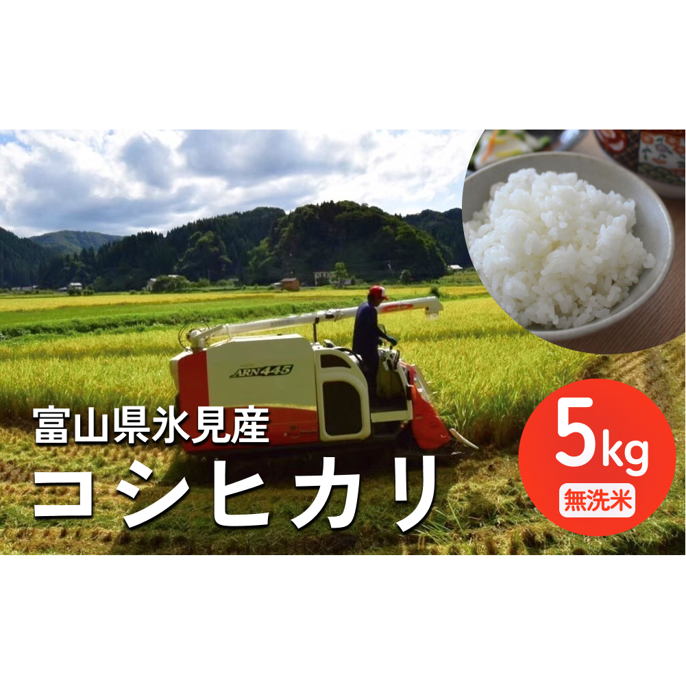[先行予約] 令和7年産 富山県氷見産 コシヒカリ 無洗米 5kg [2025年10月中旬以降順次発送] 富山県 氷見市 米 こしひかり