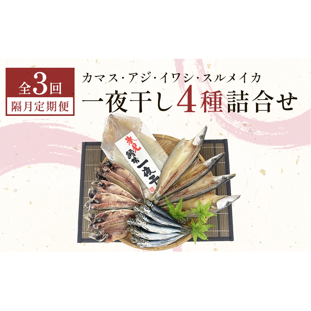 [隔月3回]一夜干し4種詰合せ定期便[カマス・アジ・イワシ・スルメイカ] 富山県 氷見市 定期便 干物 かます あじ 鰯 いわし いか おかず 一品