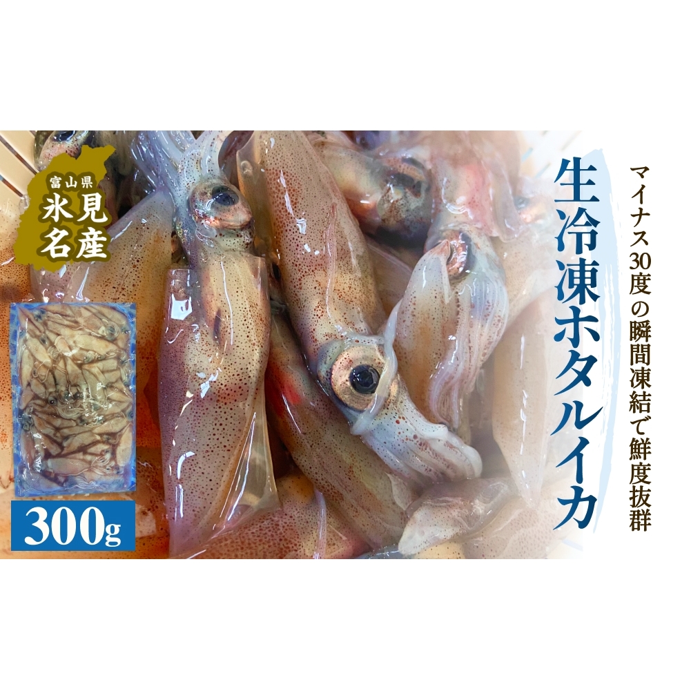 生冷凍ホタルイカ（凍眠） 300g 富山県 氷見市 ほたるいか しゃぶしゃぶ 冷凍
