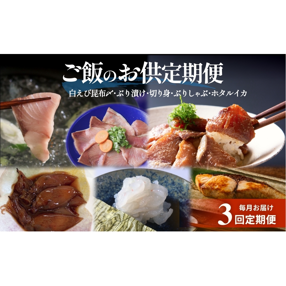 ＜3回定期便＞ご飯のお供定期便 富山県 氷見市 白エビぶり ほたるいか 冷凍 おかず