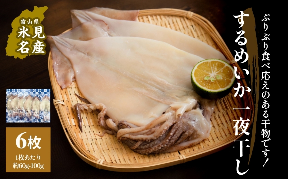するめいか一夜干し 6枚 富山県 氷見市 イカ 干物
