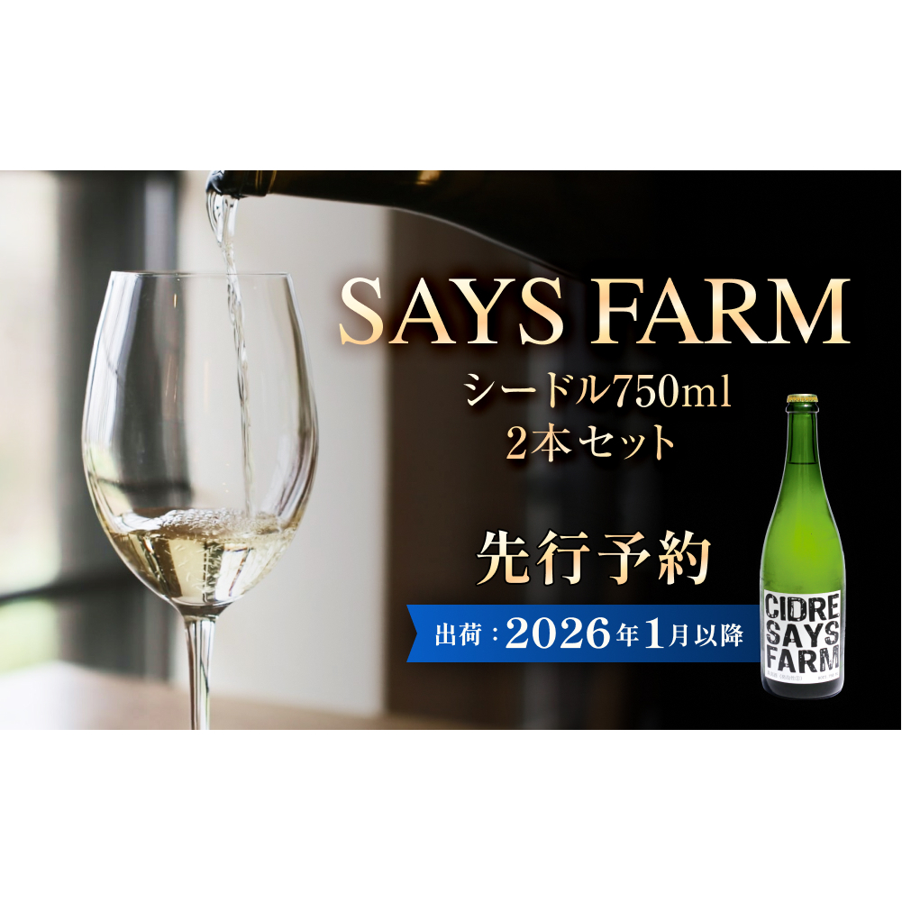 <先行予約>SAYS FARM シードル 750×2本セット 富山県 氷見市 シードル 酒 りんご酒