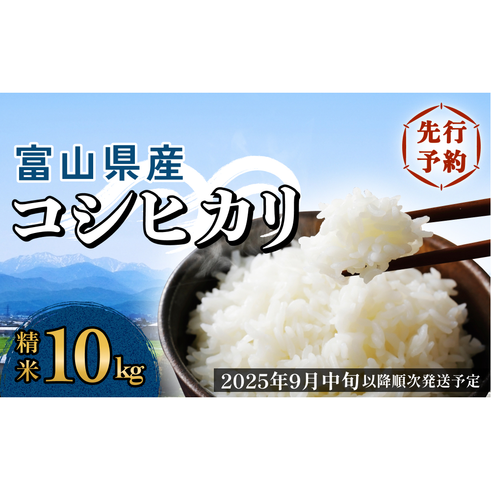 新品　未開封　こしひかり　10Kg　2024年度産　立山米　富山県産 Amazon.co.jp: 【白米】富山県産 特選コシヒカリ(令和6年) 3kg